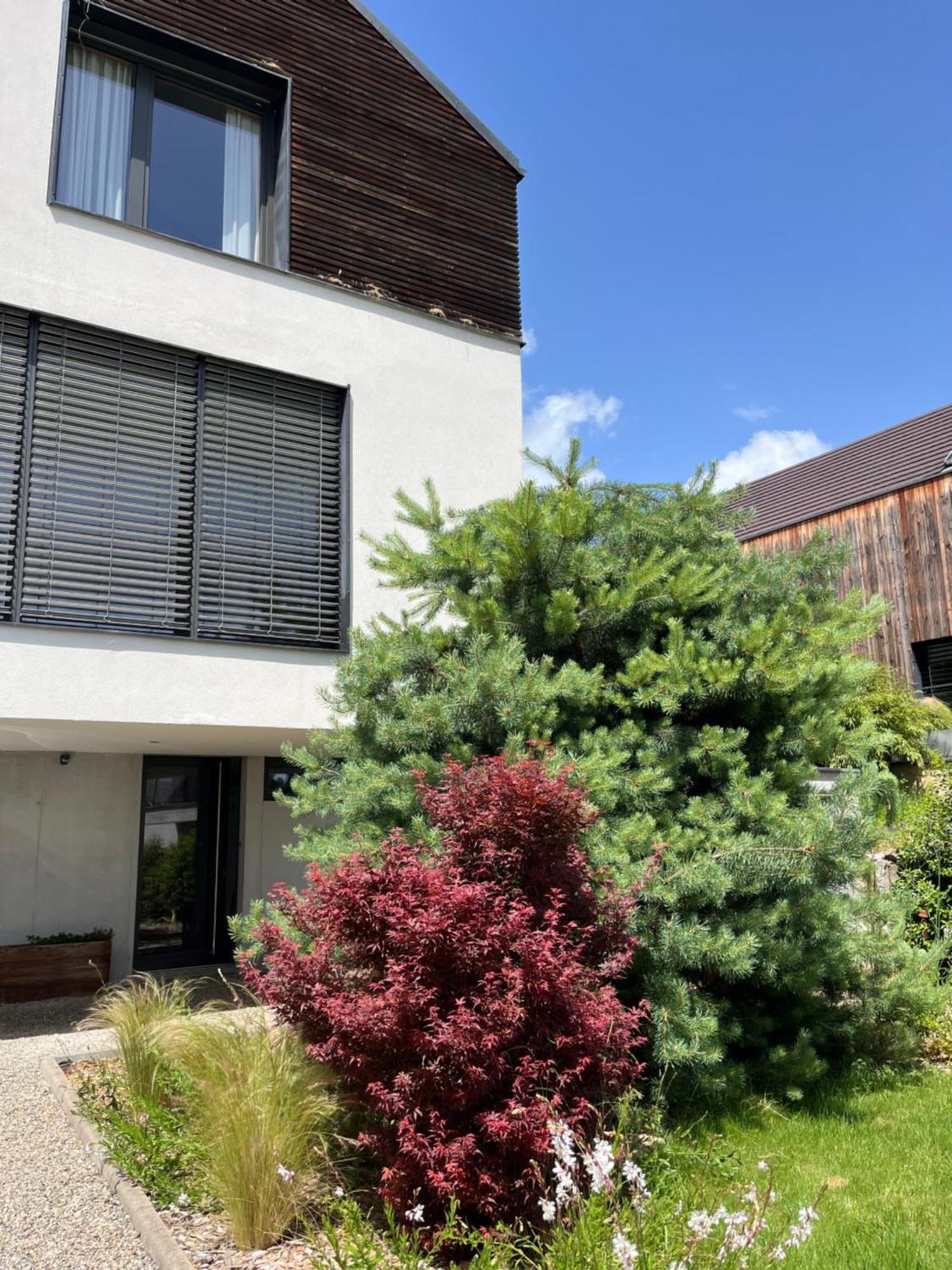 Chambre Double 2 P Luxe Aux Vignes Lovees, Entree Independante Riquewihr Exterior foto